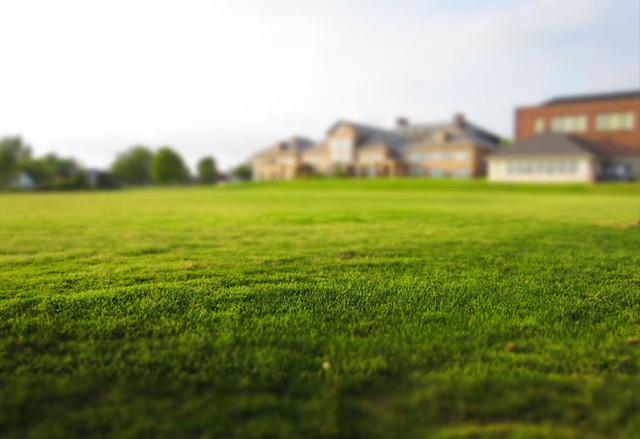 AgroBusiness Service